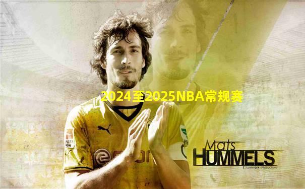 2024至2025NBA常规赛