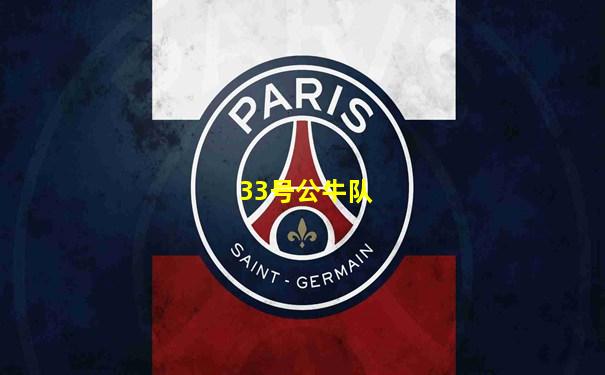 33号公牛队