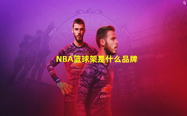 NBA篮球架是什么品牌