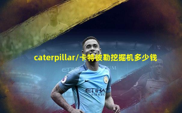 caterpillar/卡特彼勒挖掘机多少钱