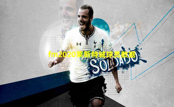fm2020莱斯特城球员数据