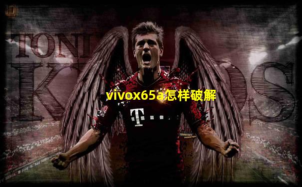 vivox65a怎样破解