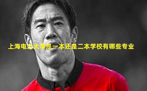 上海电力大学是一本还是二本学校有哪些专业