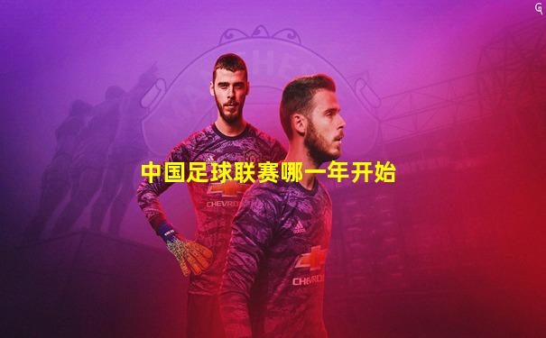 中国足球联赛哪一年开始