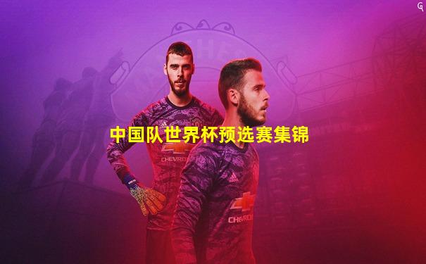 中国队世界杯预选赛集锦