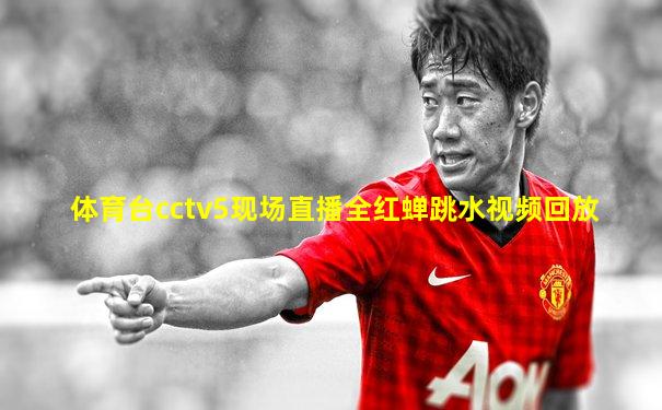 体育台cctv5现场直播全红蝉跳水视频回放