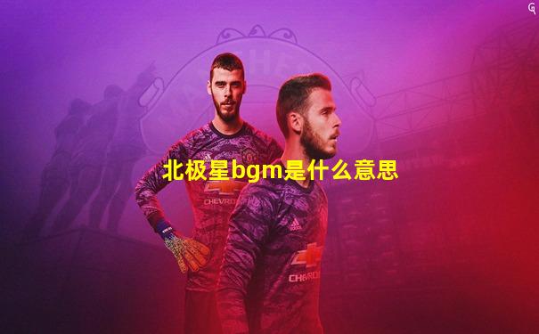 北极星bgm是什么意思