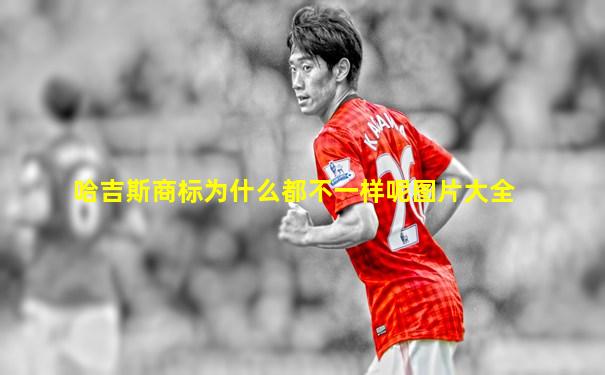 哈吉斯商标为什么都不一样呢图片大全