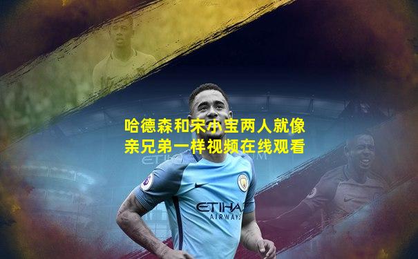 哈德森和宋小宝两人就像亲兄弟一样视频在线观看