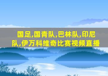 国足,国青队,巴林队,印尼队,伊万科维奇比赛视频直播