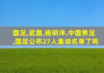 国足,武磊,杨明洋,中国男足,国足公布27人集训名单了吗