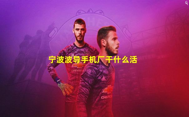 宁波波导手机厂干什么活