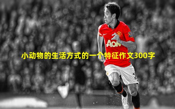 小动物的生活方式的一个特征作文300字