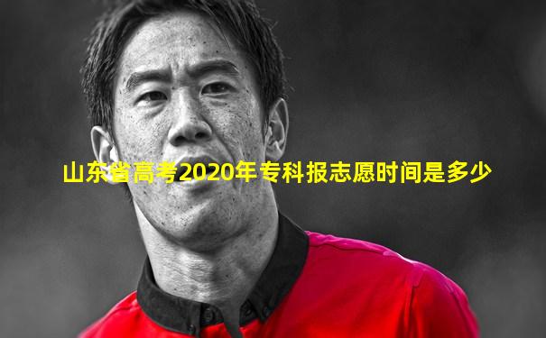 山东省高考2020年专科报志愿时间是多少