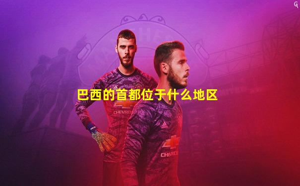 巴西的首都位于什么地区