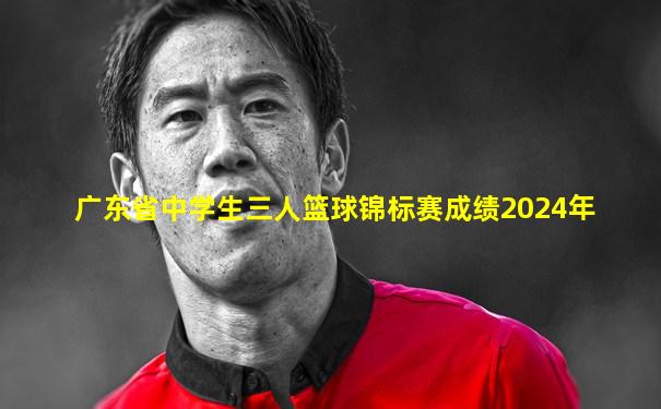 广东省中学生三人篮球锦标赛成绩2024年