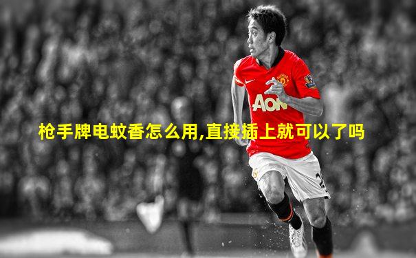 枪手牌电蚊香怎么用,直接插上就可以了吗
