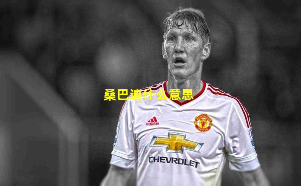 桑巴迪什么意思