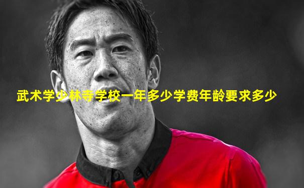 武术学少林寺学校一年多少学费年龄要求多少