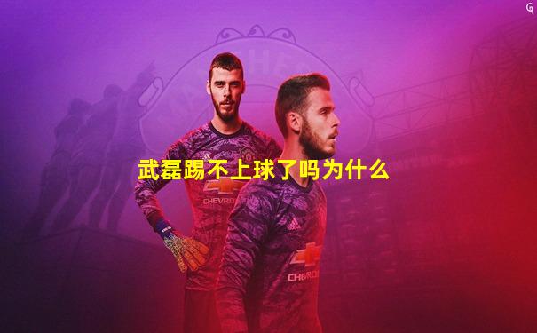 武磊踢不上球了吗为什么