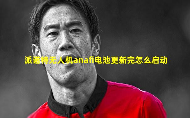 派诺特无人机anafi电池更新完怎么启动