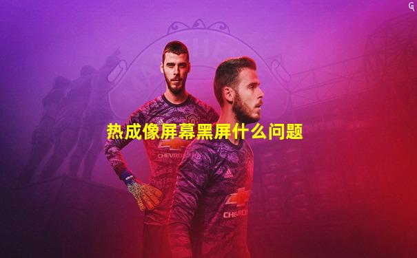 热成像屏幕黑屏什么问题