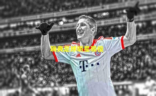 瑞典足球明星现役