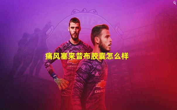 痛风塞来昔布胶囊怎么样