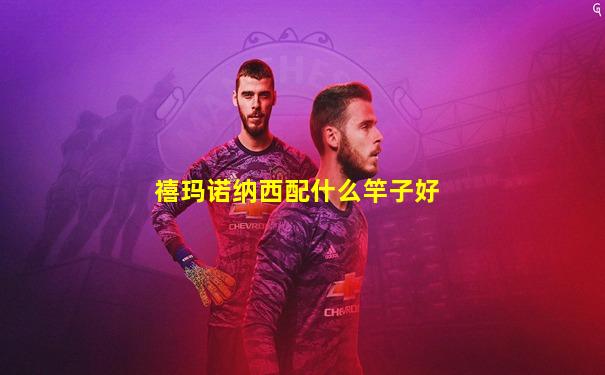 禧玛诺纳西配什么竿子好