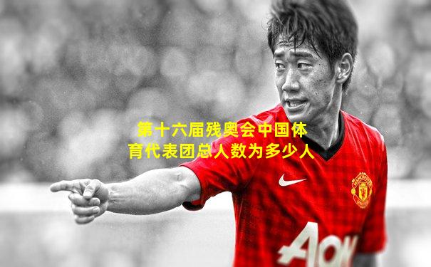 第十六届残奥会中国体育代表团总人数为多少人
