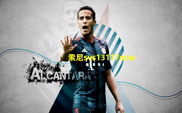 索尼svs13117ecw