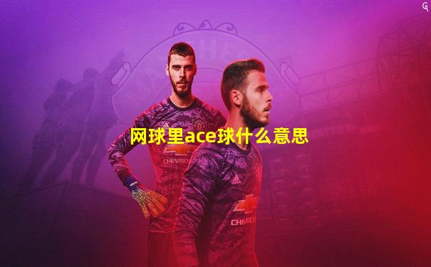 网球里ace球什么意思