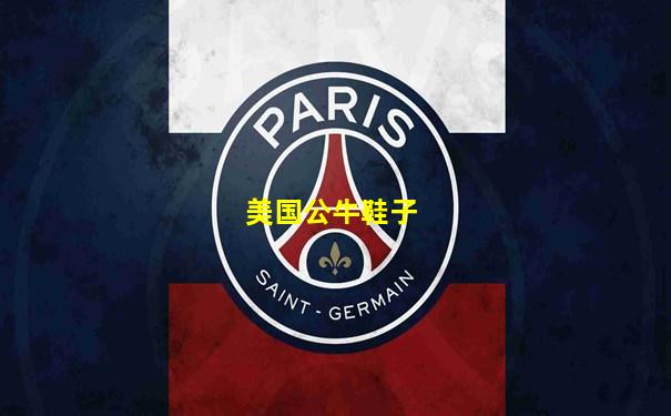美国公牛鞋子