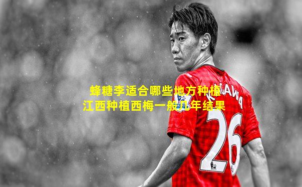 蜂糖李适合哪些地方种植江西种植西梅一般几年结果