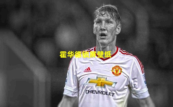 霍华德锁屏壁纸