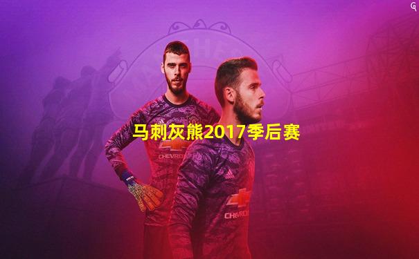 马刺灰熊2017季后赛