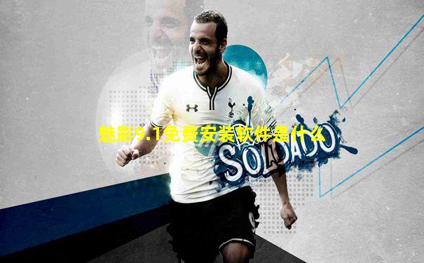 魅影9.1免费安装软件是什么